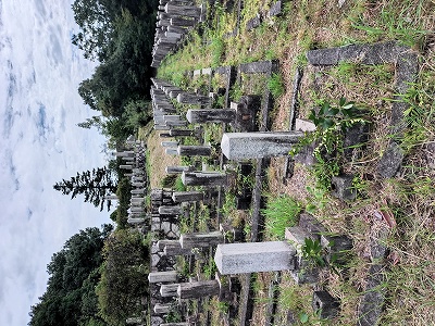 墓 基 群